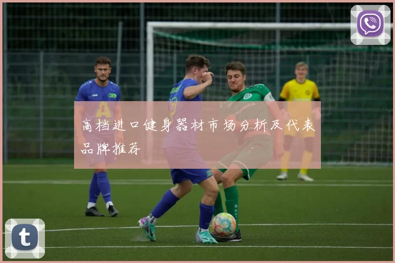 高档进口健身器材市场分析及代表品牌推荐