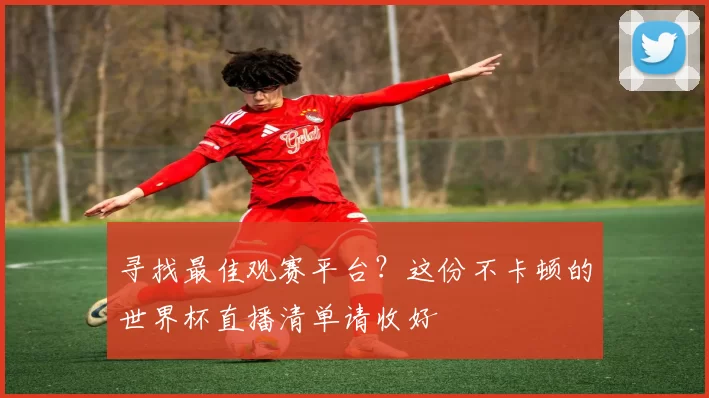 寻找最佳观赛平台？这份不卡顿的世界杯直播清单请收好