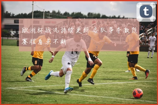 欧洲杯战况持续更新 各队争夺激烈赛程看点不断