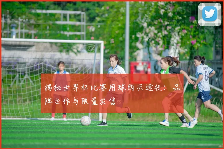 揭秘世界杯比赛用球购买途径:品牌合作与限量发售