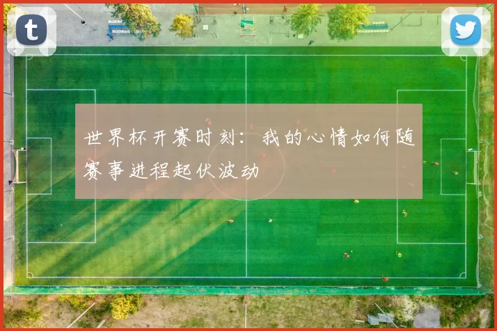 世界杯开赛时刻:我的心情如何随赛事进程起伏波动