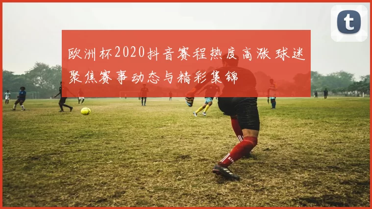 欧洲杯2020抖音赛程热度高涨 球迷聚焦赛事动态与精彩集锦
